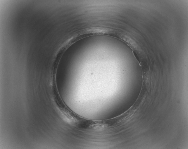 X0000074930352200609151944