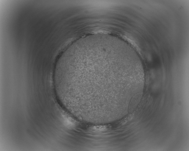 X0000074930353200609151945