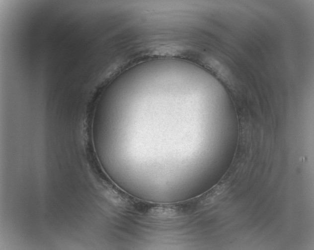 X0000074930354200609151945