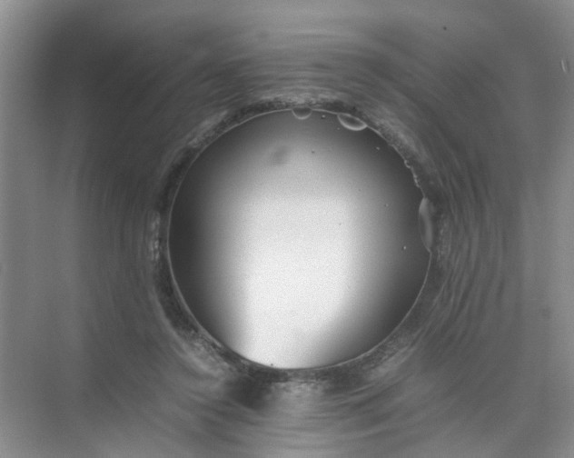 X0000074930356200609151945