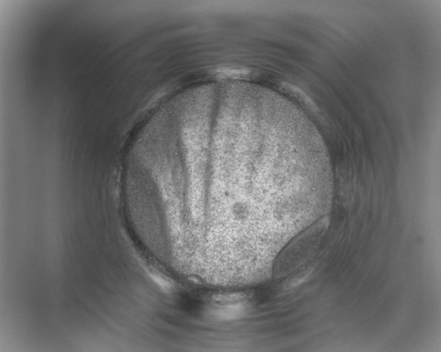 X0000074930357200609151945