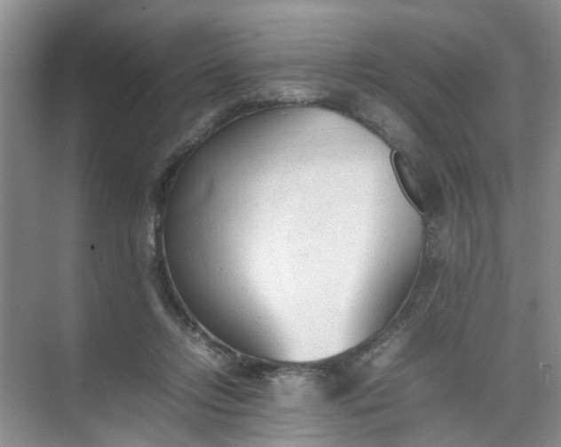 X0000074930358200609151945