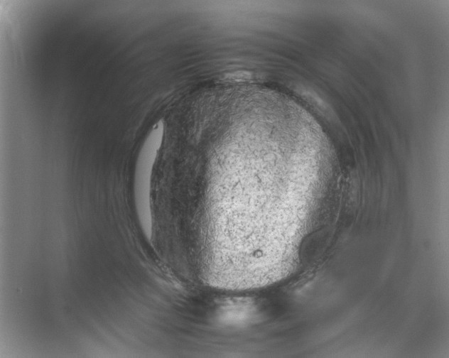 X0000074930361200609151945