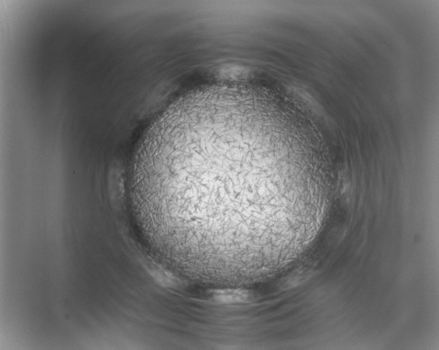 X0000074930363200609151945