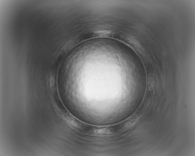 X0000074930365200609151945