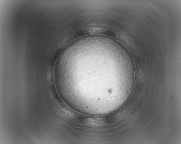 X0000074930367200609151945