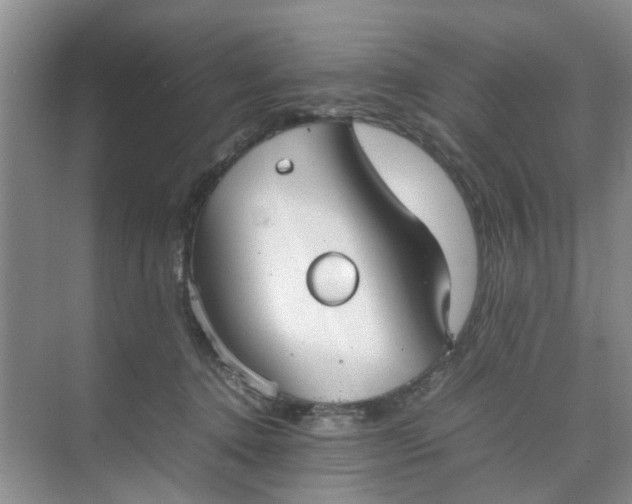 X0000074930368200609151945