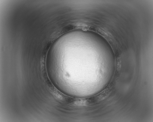 X0000074930369200609151945