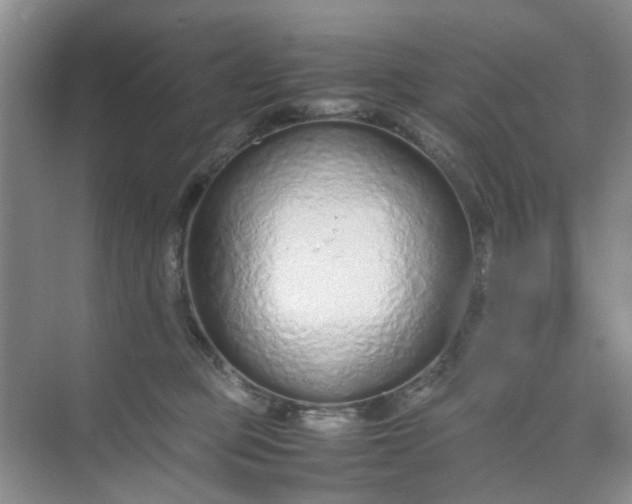 X0000074930373200609151945