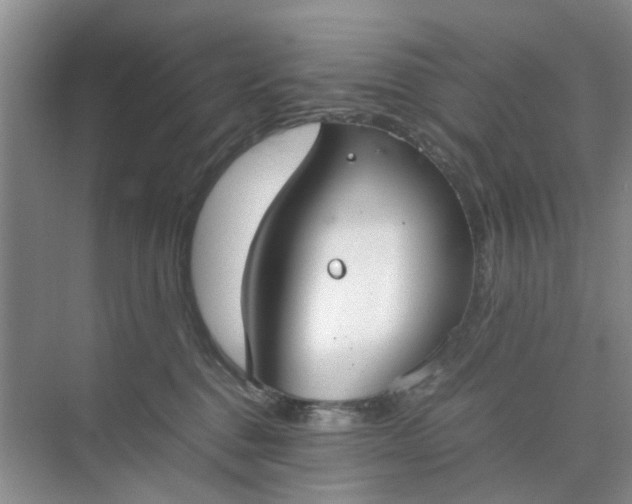 X0000074930376200609151945