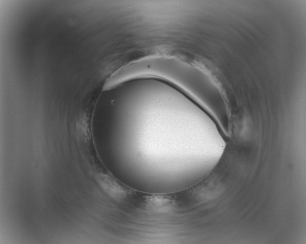 X0000074930380200609151945