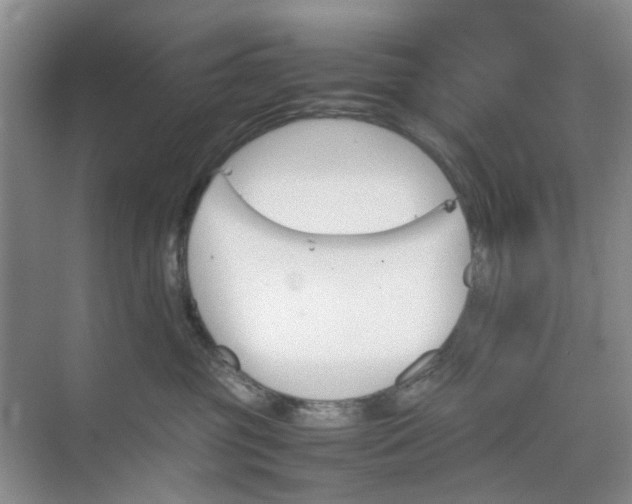 X0000074930381200609151945