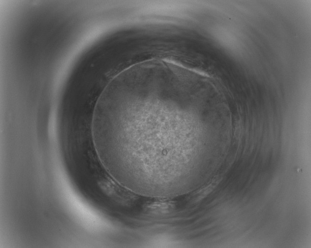 X0000074930383200609151945