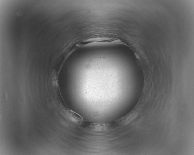 X0000074930384200609151945