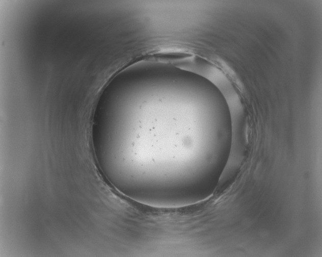 X0000074930385200609151944