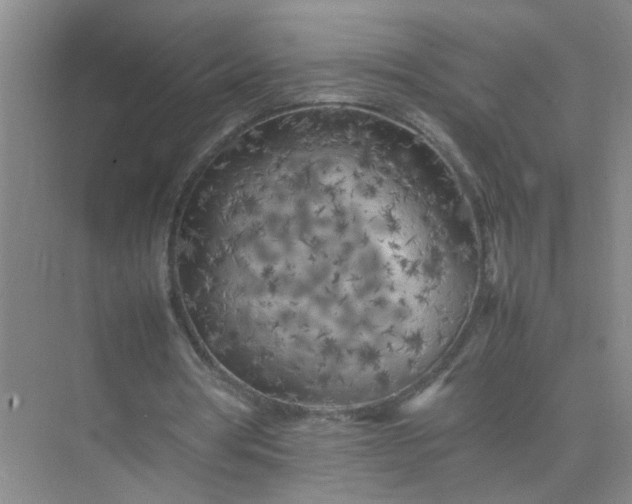 X0000074930386200609151944