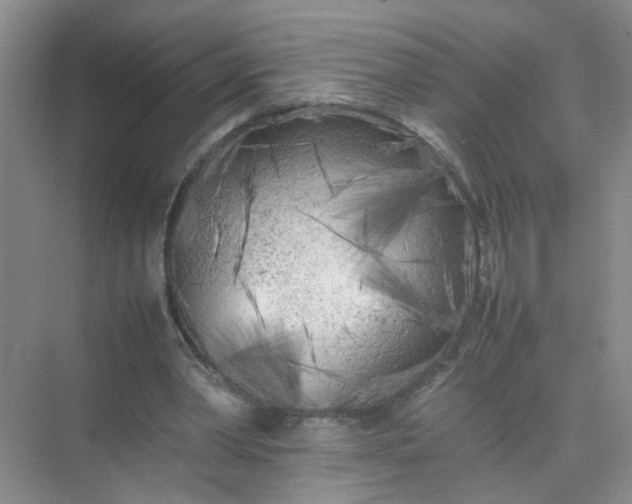 X0000074930390200609151944