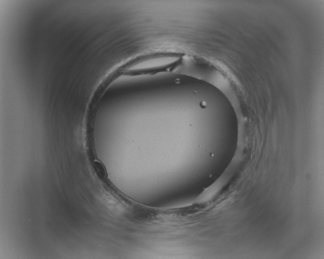 X0000074930391200609151944