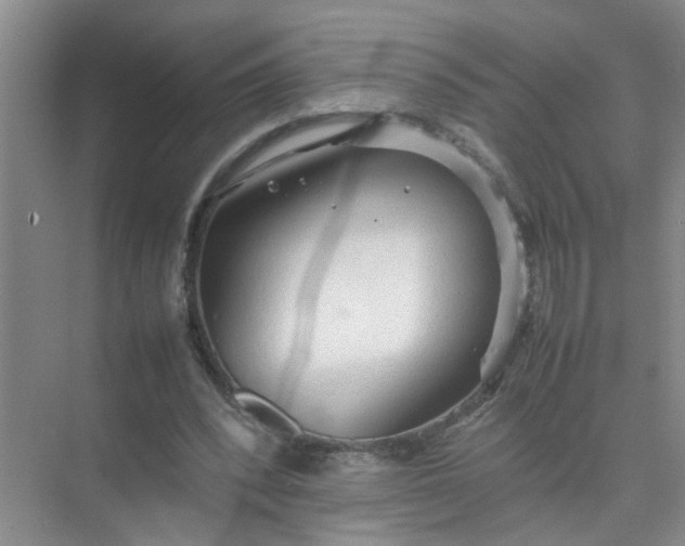 X0000074930392200609151944