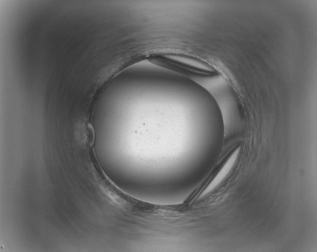 X0000074930393200609151944