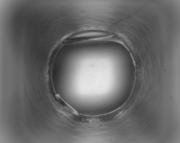 X0000074930395200609151944