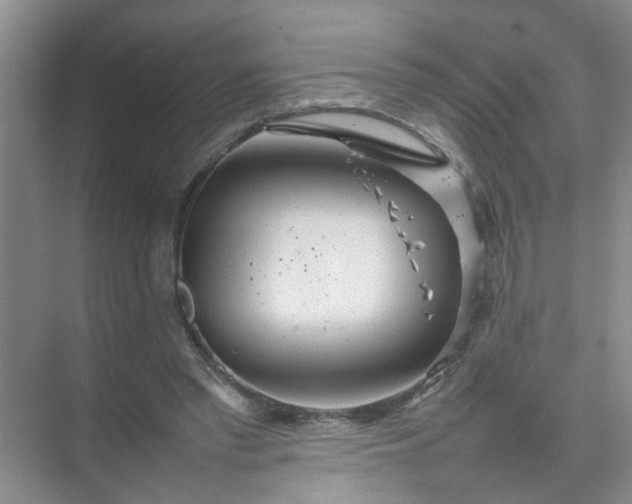 X0000074930397200609151944