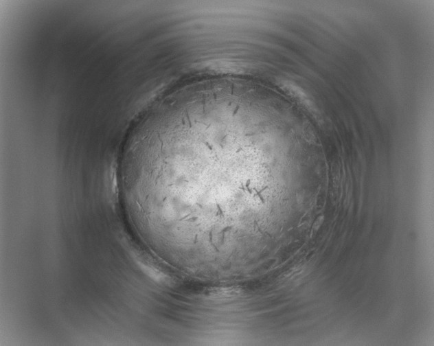 X0000074930398200609151944