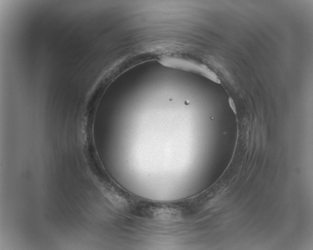 X0000074930400200609151944