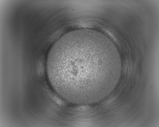 X0000074930402200609151944