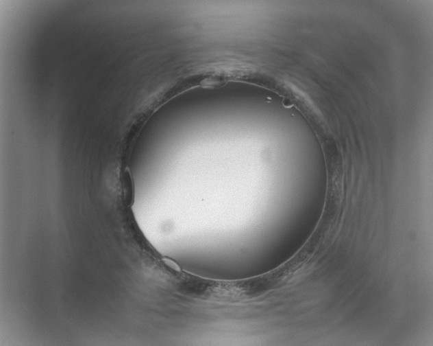 X0000074930403200609151944