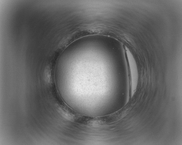 X0000074930408200609151944