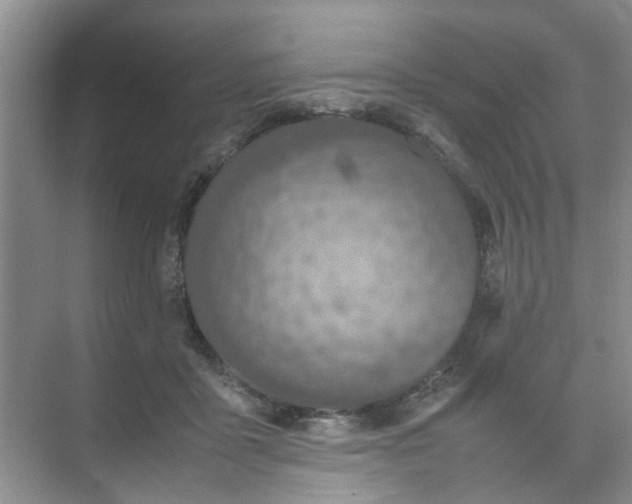 X0000074930411200609151944