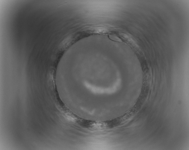 X0000074930415200609151944