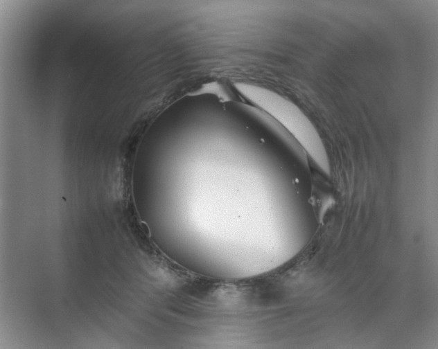 X0000074930416200609151944