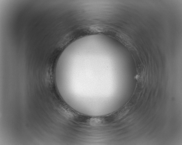 X0000074930418200609151944