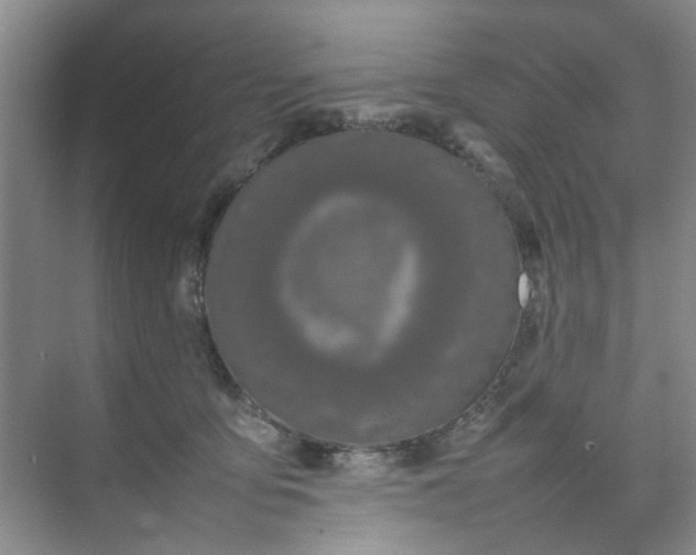 X0000074930419200609151944