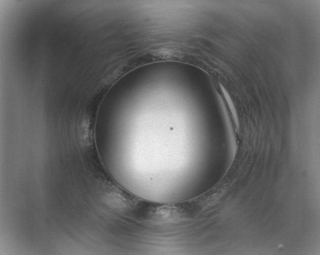 X0000074930420200609151944