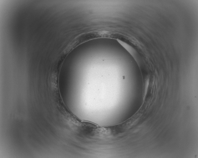 X0000074930421200609151944