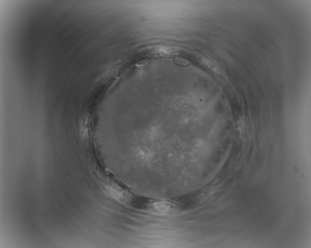 X0000074930423200609151944