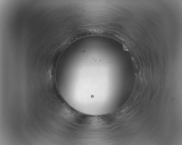 X0000074930424200609151944