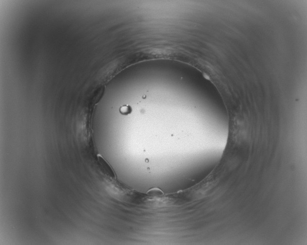 X0000074930428200609151944