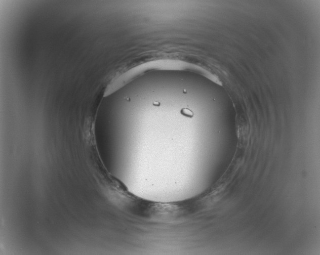 X0000074930429200609151943