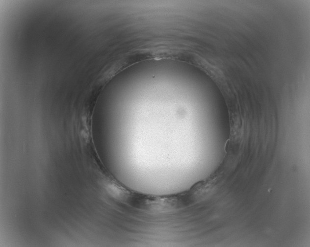 X0000074930430200609151943