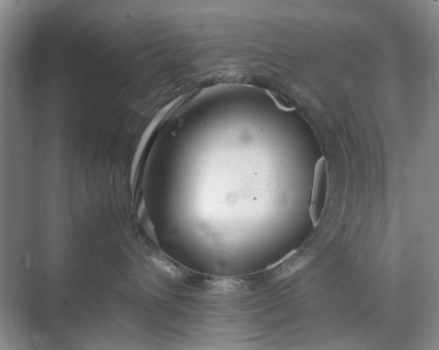 X0000074930432200609151943