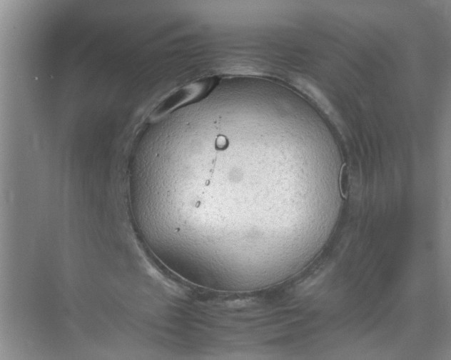 X0000074930433200609151943