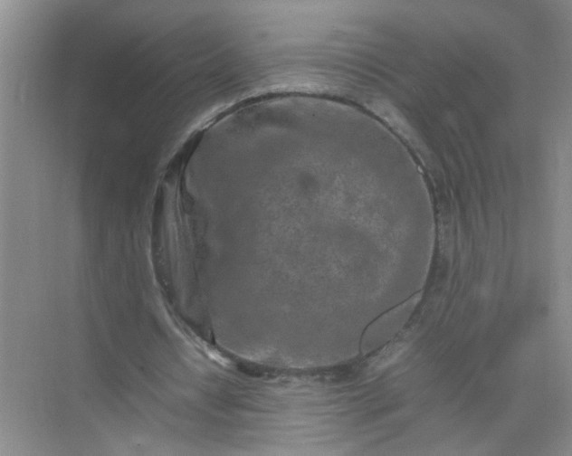 X0000074930434200609151943