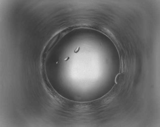 X0000074930435200609151943