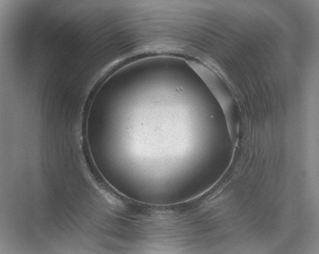 X0000074930438200609151943