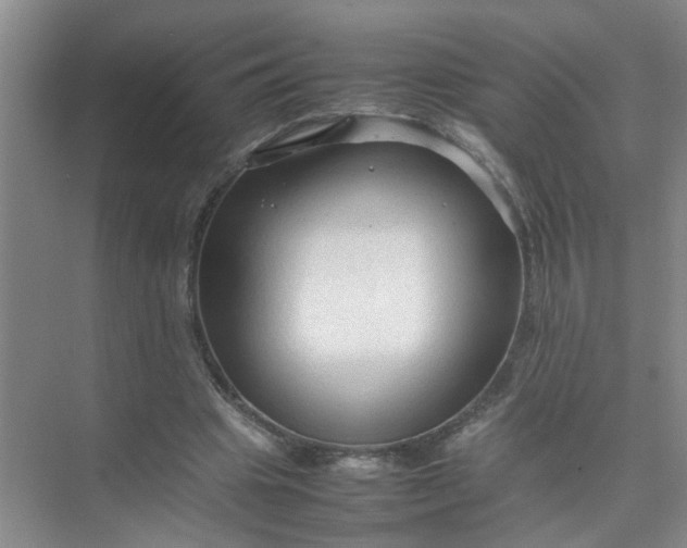 X0000074930441200609151943