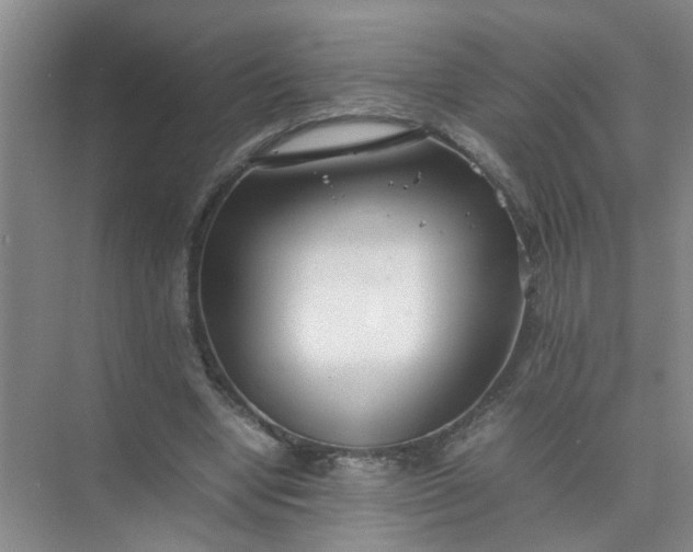 X0000074930442200609151943